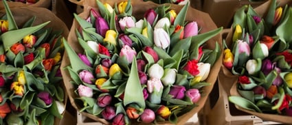 FarEastFlora.com
